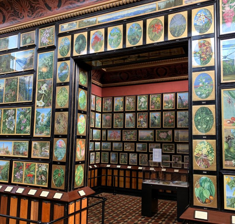 The Remarkable & Amazing Marianne North Gallery