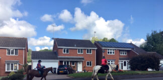 Redditch England: 'detatched homes and horses' photo by A Howse